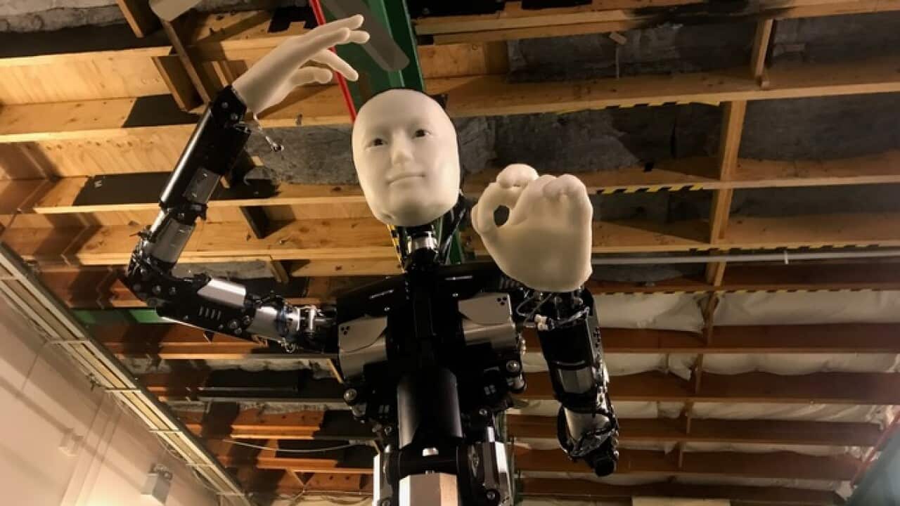Skeleton is rehearsing