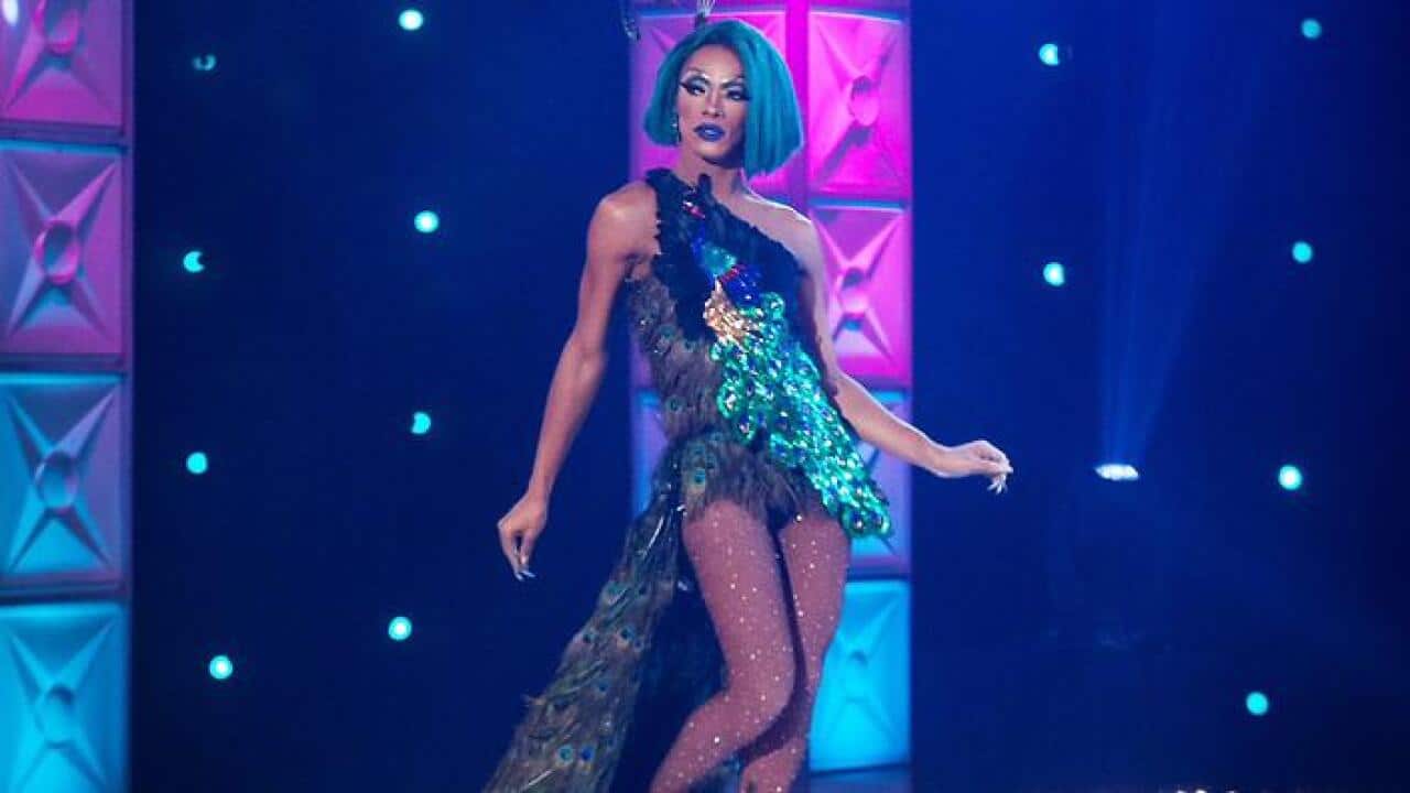 The Vixen