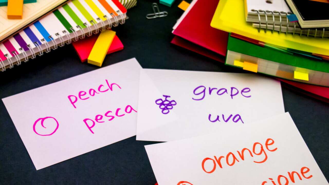Learning New Language Making Original Flash Cards, Italian