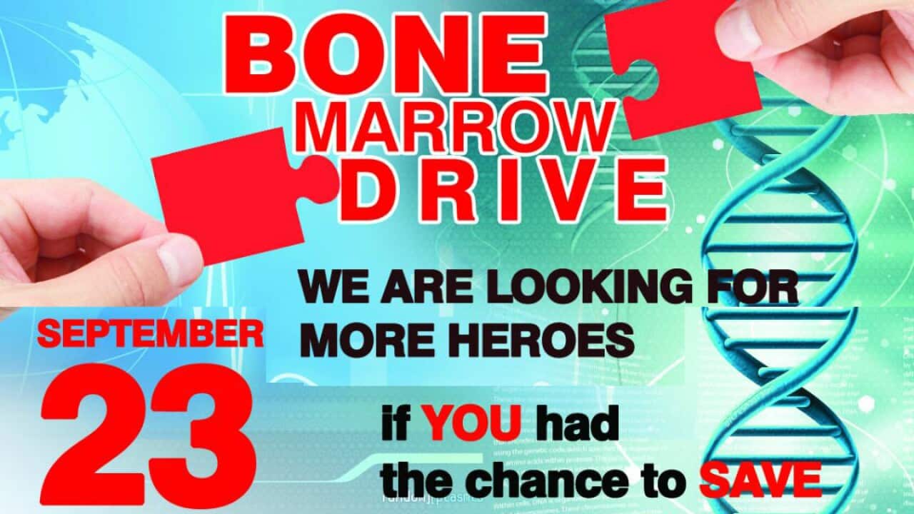 Bone marrow drive
