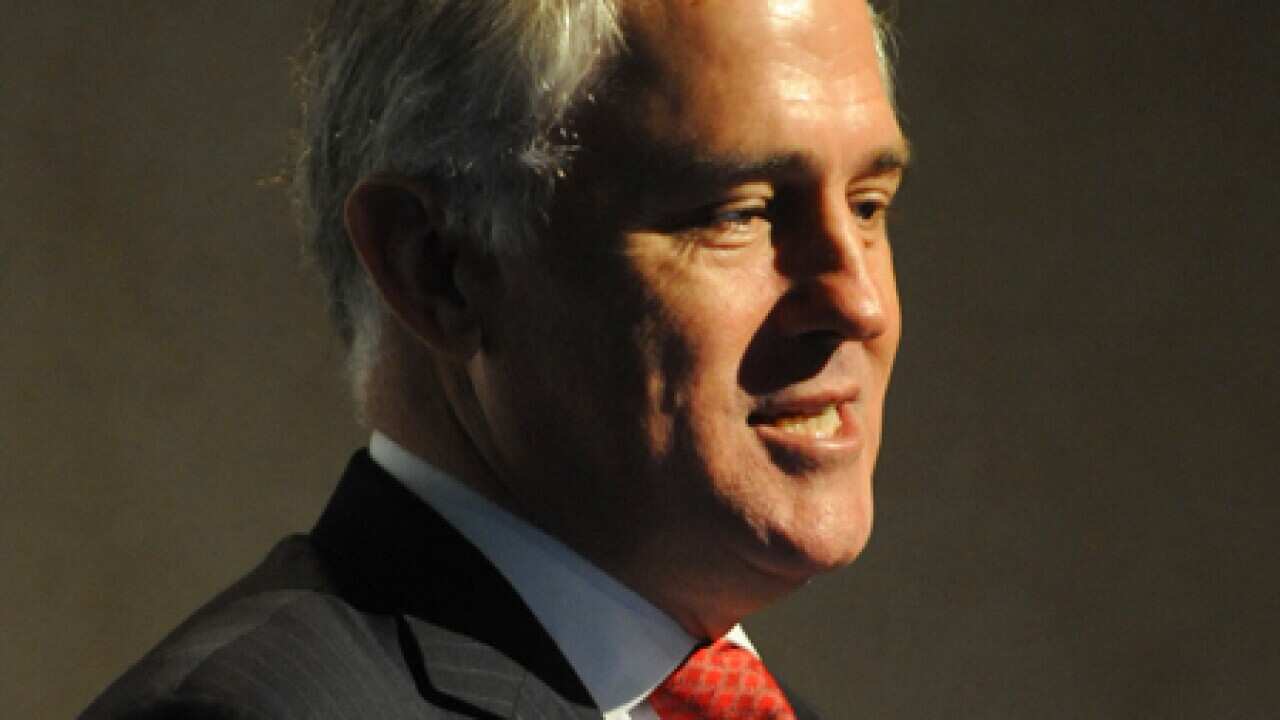 Malcolm Turnbull has surged ahead of Tony Abbott in the polls