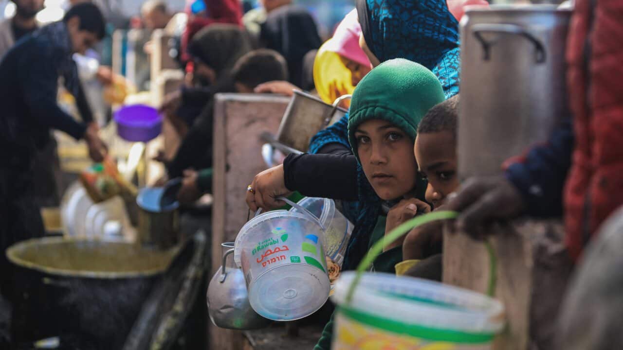 Displaced Palestinians gather to receive food at a donation point in Rafah in the southern Gaza Strip