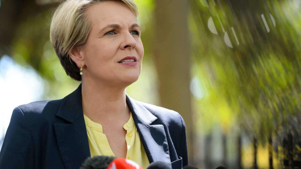 Deputy opposition leader Tanya Plibersek speaks to the media