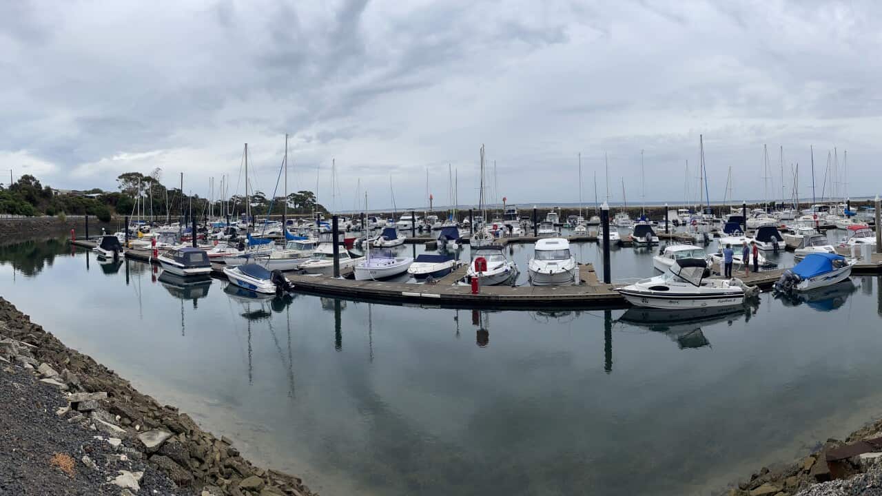 NEWHAVEN VICTORIA SBSSERBIAN NEWS.jpeg