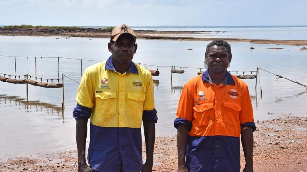 Two of the workers at the new oyster farm
