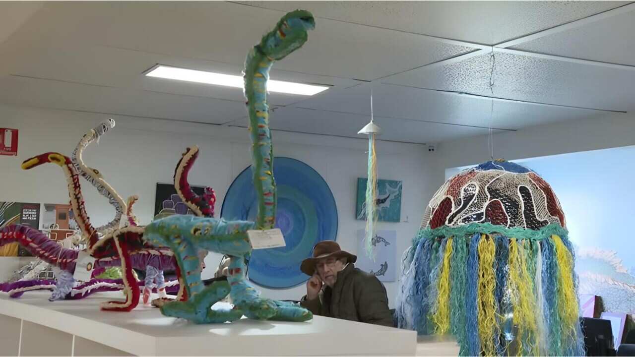 Some of the art on display in Ceduna (SBS).jpg