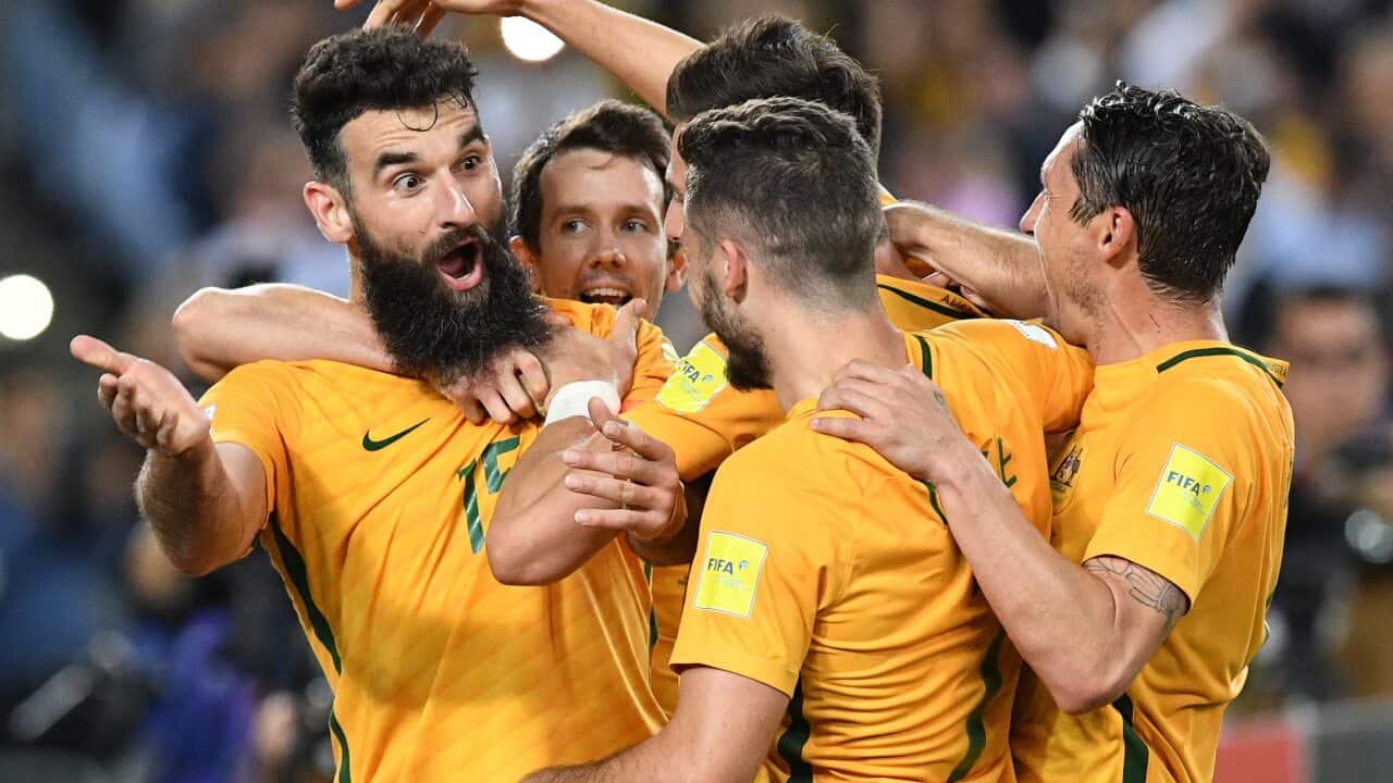 Socceroos