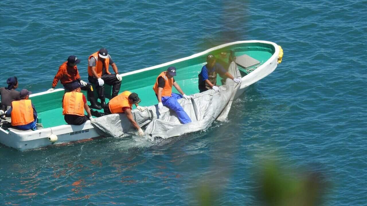 Japan's dolphin hunting season began on Sunday. 