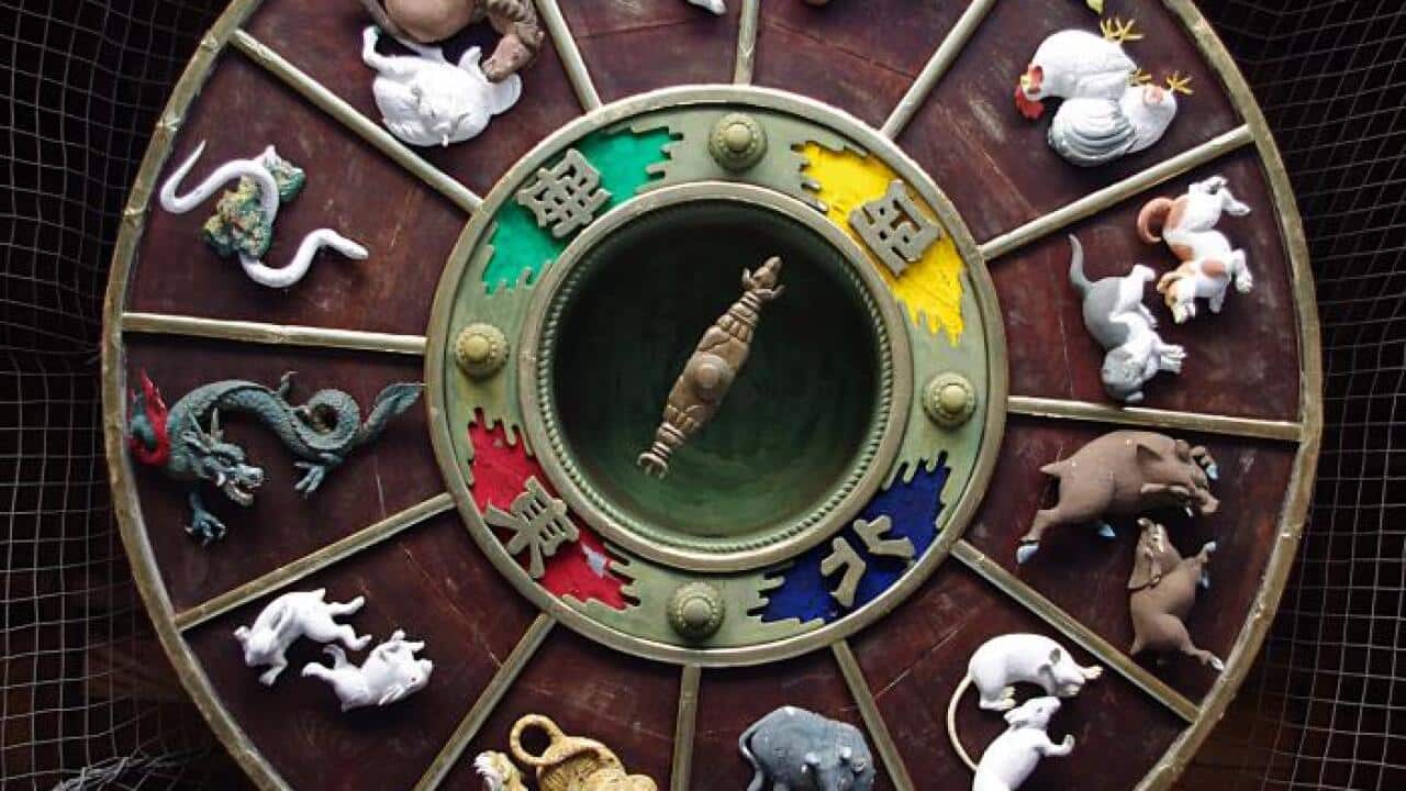 Chinese zodiac's 12-year cycle