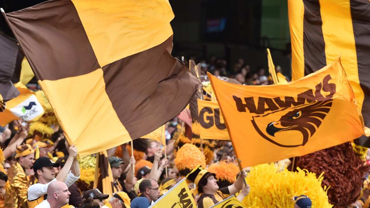 Hawthorn Hawks fans during the AFL grand final