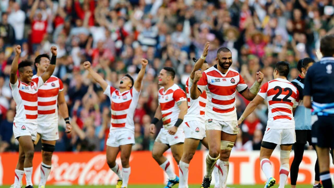 Japan players celebrate after defeating South Africa