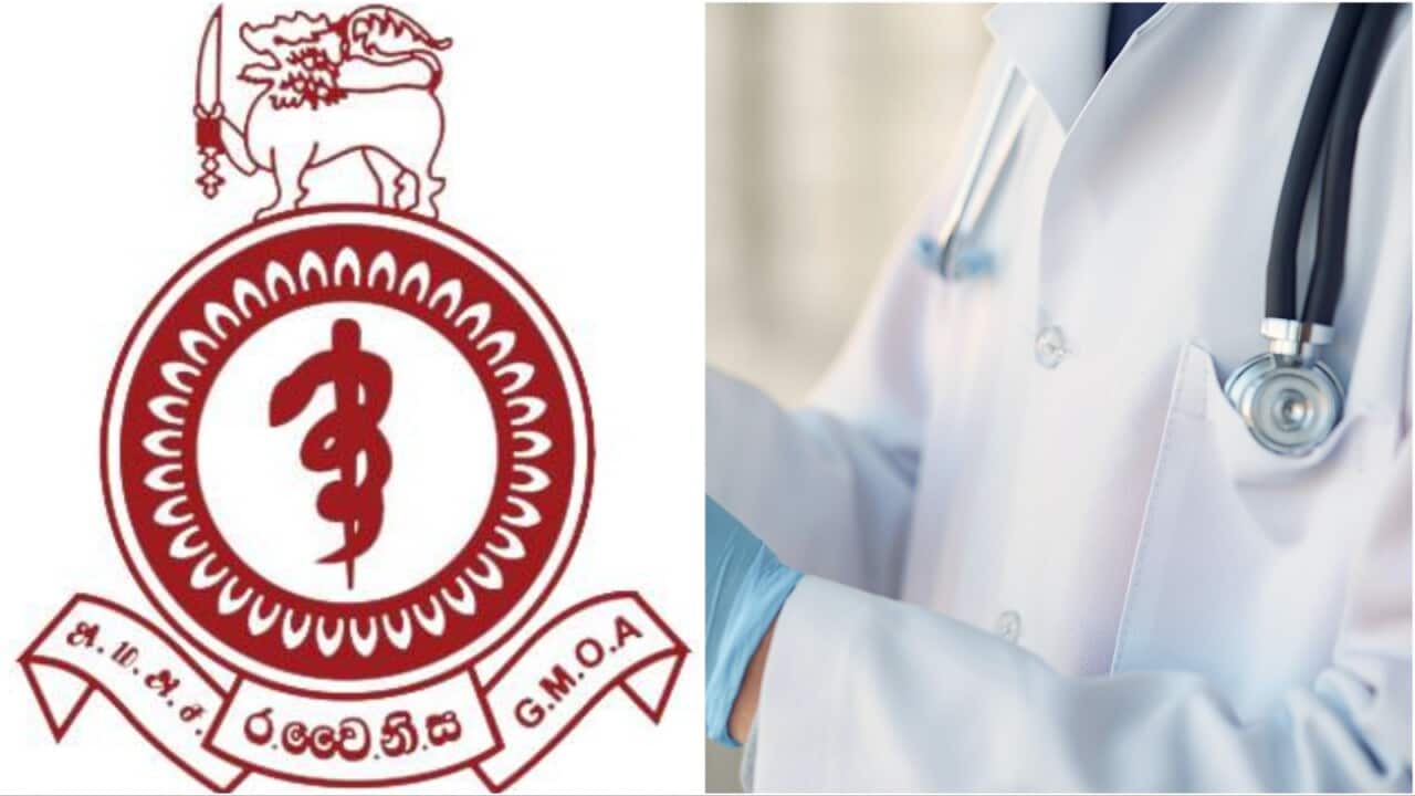 Collage Maker-29-Aug-2023-10-06-AM-991.jpg