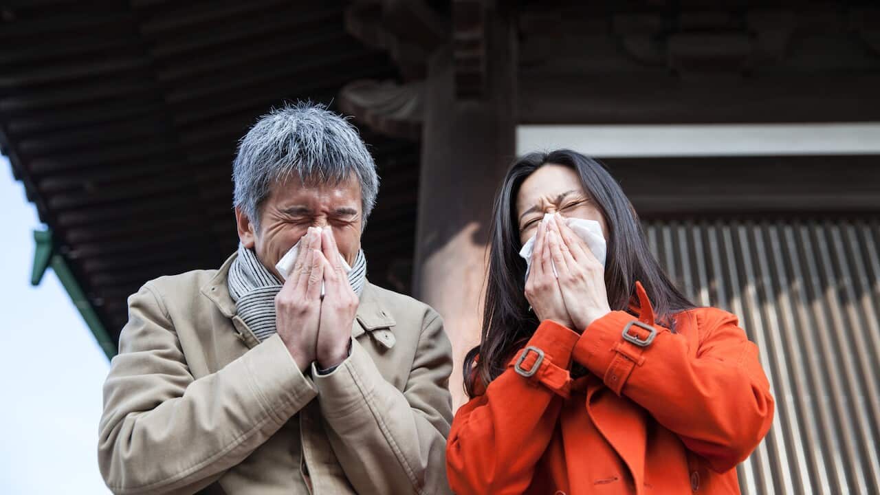 Man flu is real, but women get more autoimmune diseases and allergies