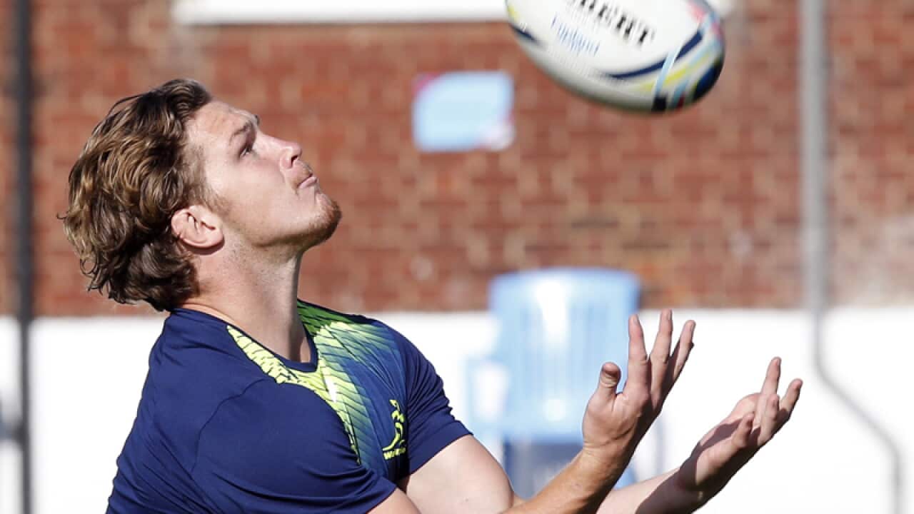 Wallabies vice-captain Michael Hooper