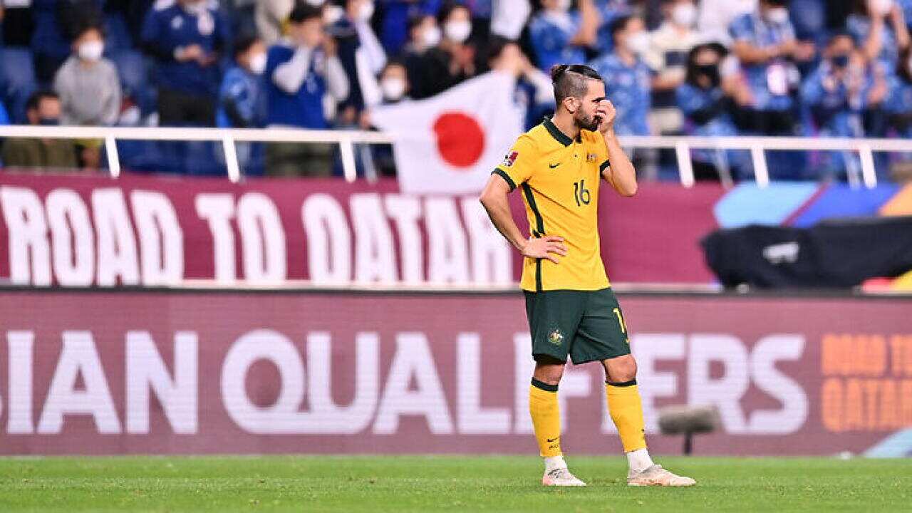 Aziz Behich - Just having one of those nights.