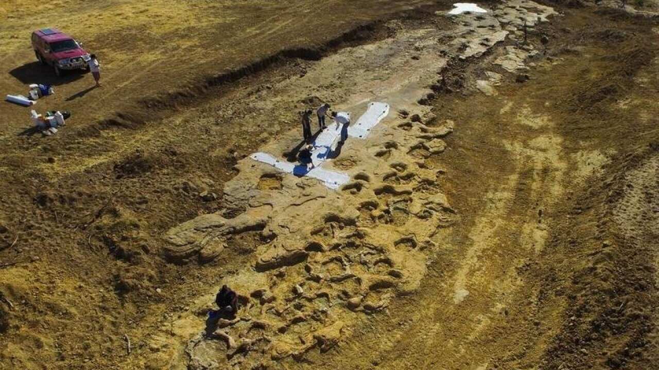 Dinosaur footprints