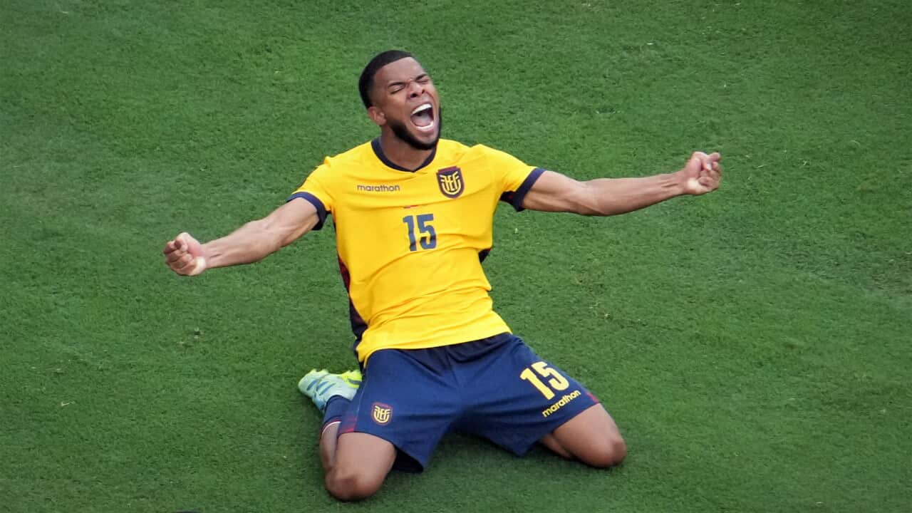 Ecuador's midfielder Pedro Vite celebrates on the pitch.