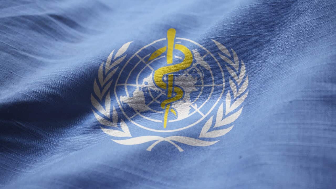 World Health Organisation