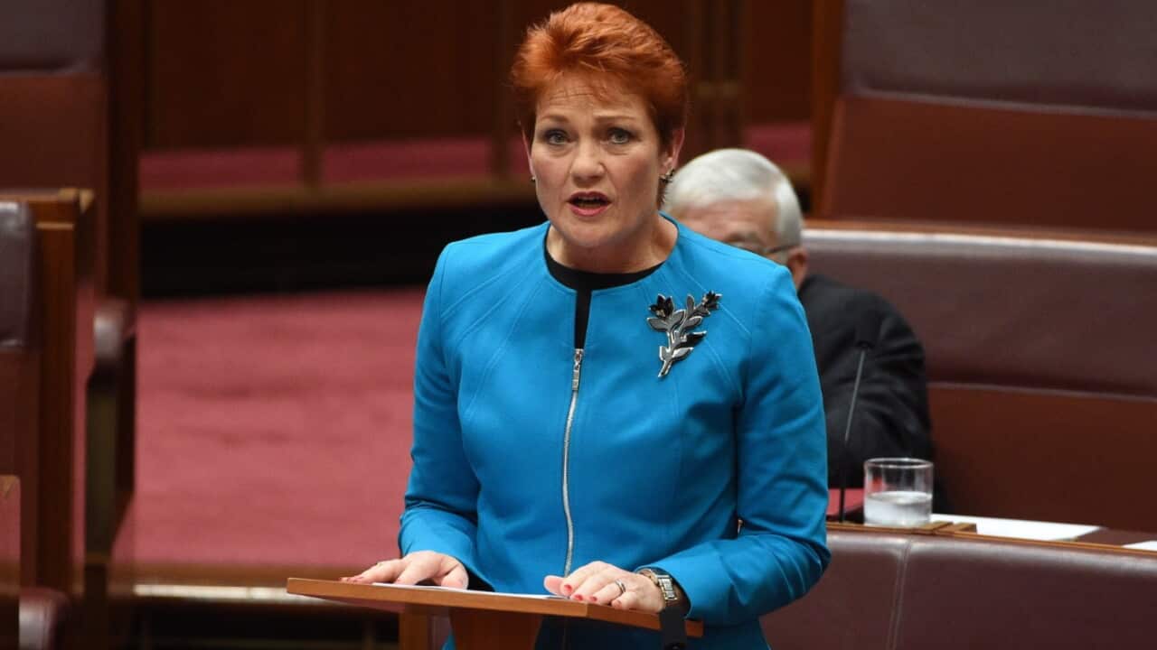 One Nation leader Senator Pauline Hanson makes her maiden speech in the Senate at Parliament House in Canberra, Wednesday, Sept. 14, 2016.