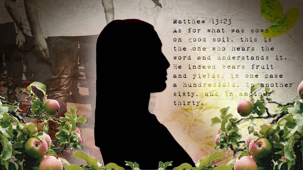 A silhouette of a young woman, surrounded by branches of an apple tree bearing fruit and leaves, in the background are images of people wearing black pants and white shirts and the Bible verse Matthew 13:23.