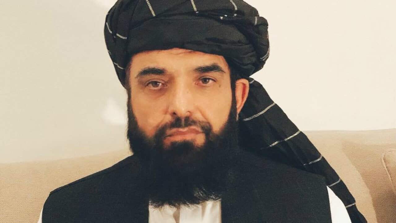 Suhail Shaheen, Taliban spokesperson