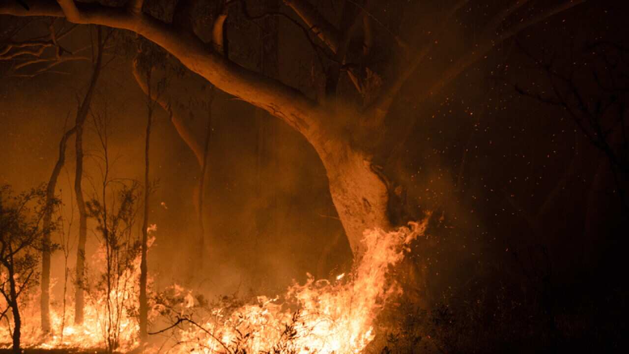 A bushfire burns