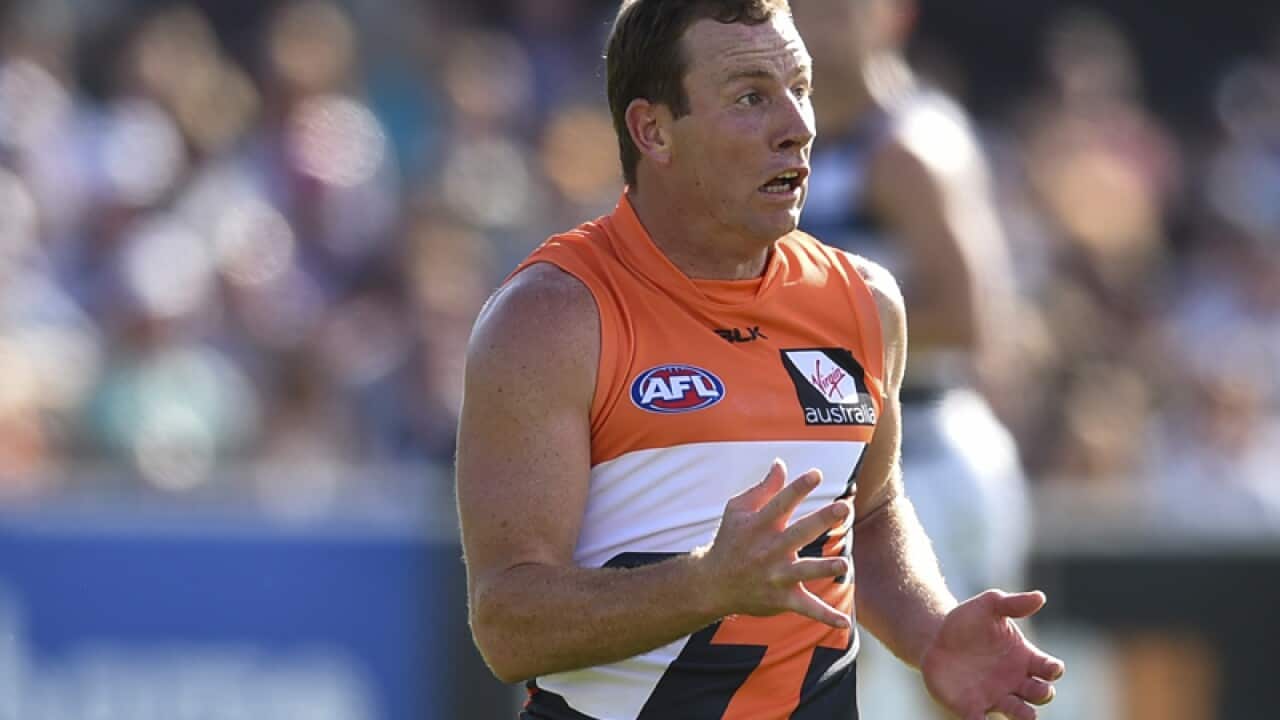 Steve Johnson of the Giants