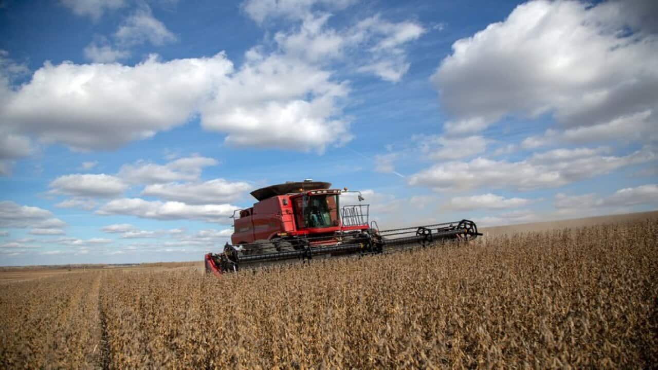 Initial Deal De-escalates Trade War With China