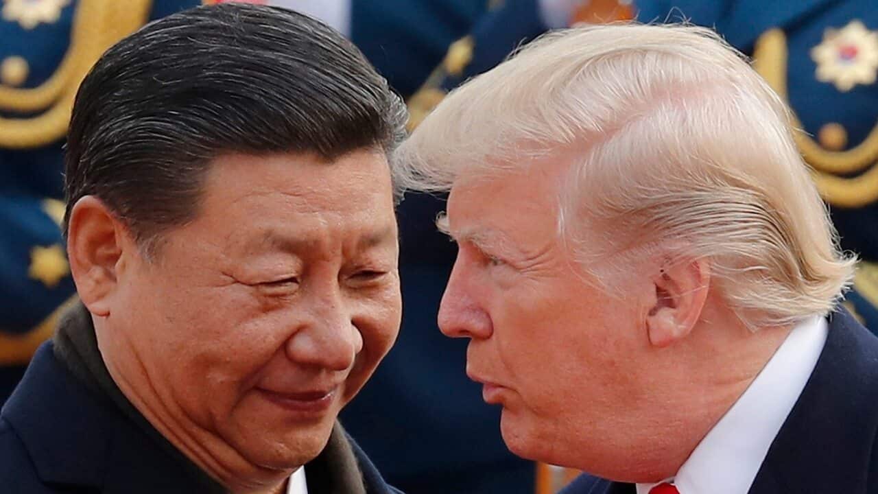 Donald Trump and Xi Jinping.