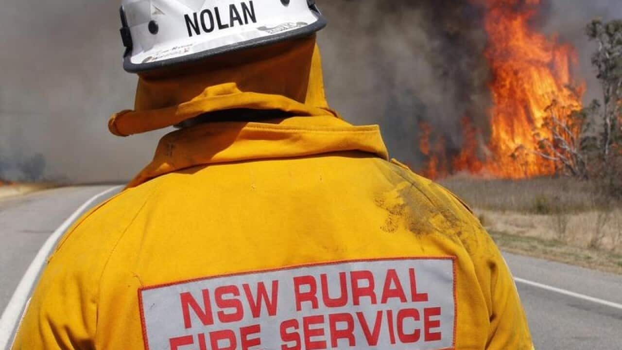 The back of a NSW Rural Fire Service member.