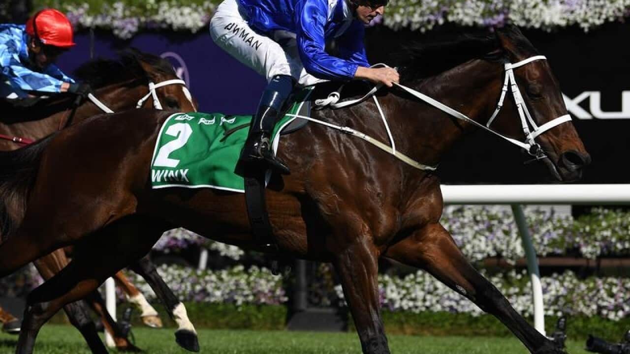 Winx wins the Turnbull Stakes.