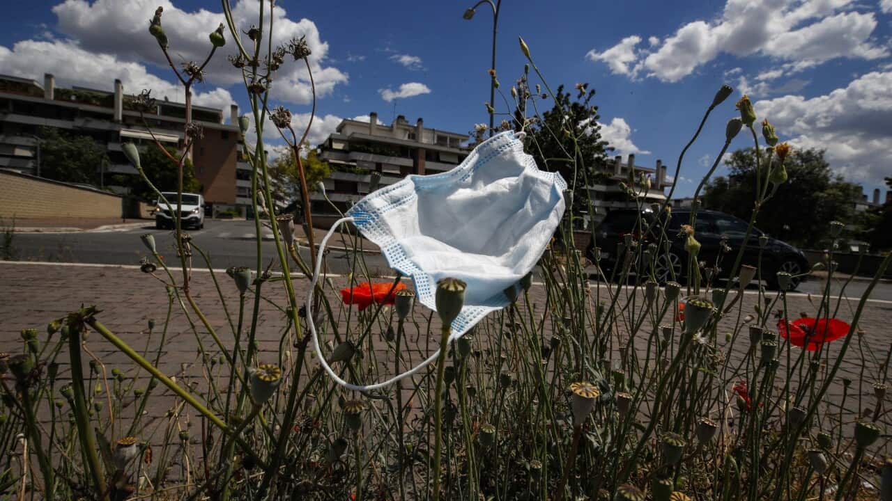 A discarded protective face mask near a street in Rome, Italy, 26 May 2020, during phase two of the country's emergency due to the COVID-19 pandemic.