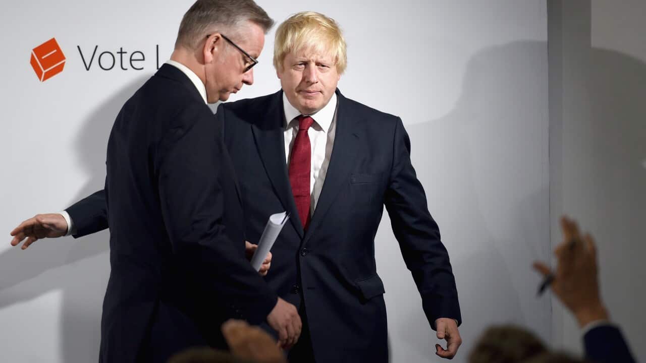 Boris Johnson (R) and Michael Gove (L) during a press briefing, after their Vote Leave campaign won the United Kingdom's EU referendum, in London