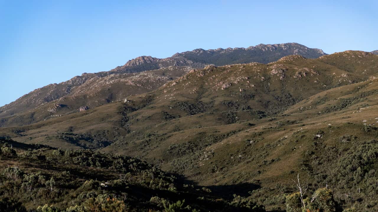 Scenes From Rural Tasmania