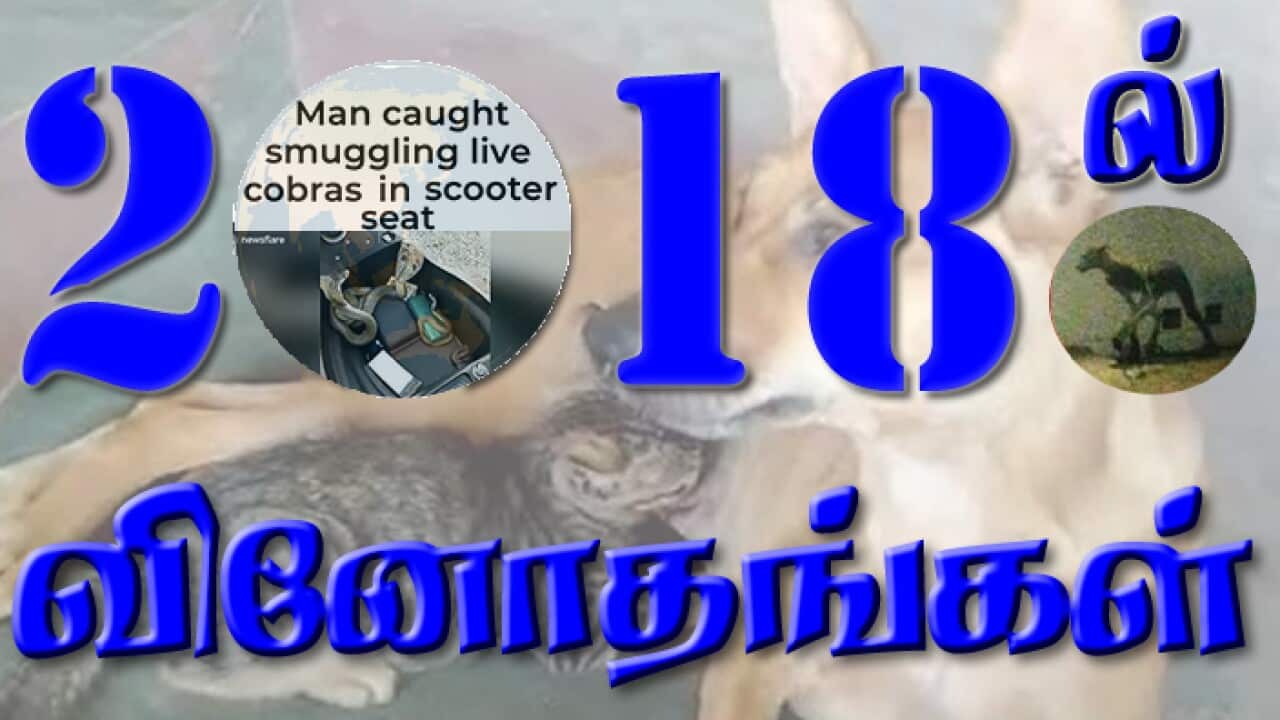 Odd News 2018