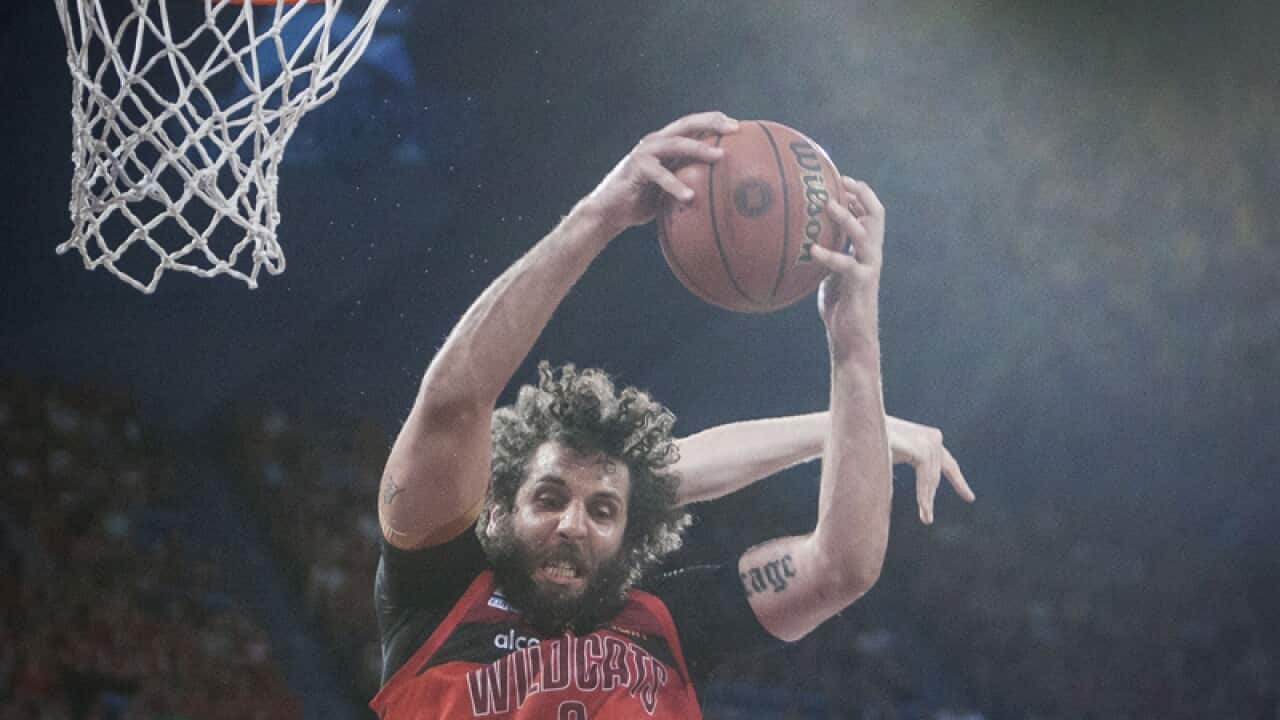 Matt Knight of the Perth Wildcats