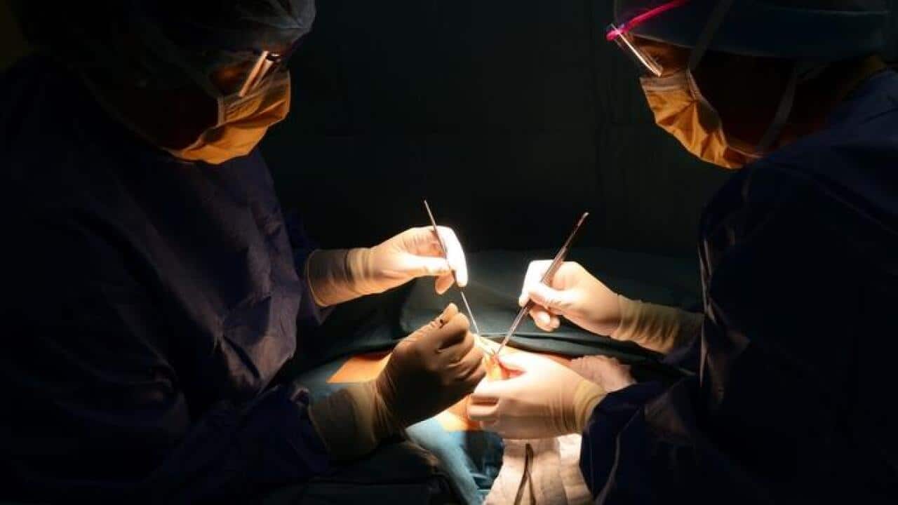 Organ donation review urges sector changes