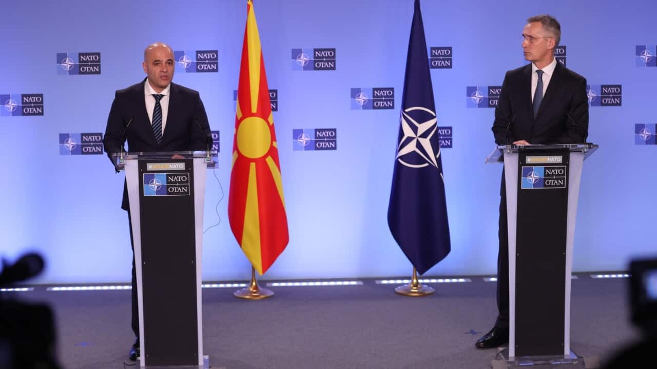 Homeland Report in Macedonian 25 February 2022,