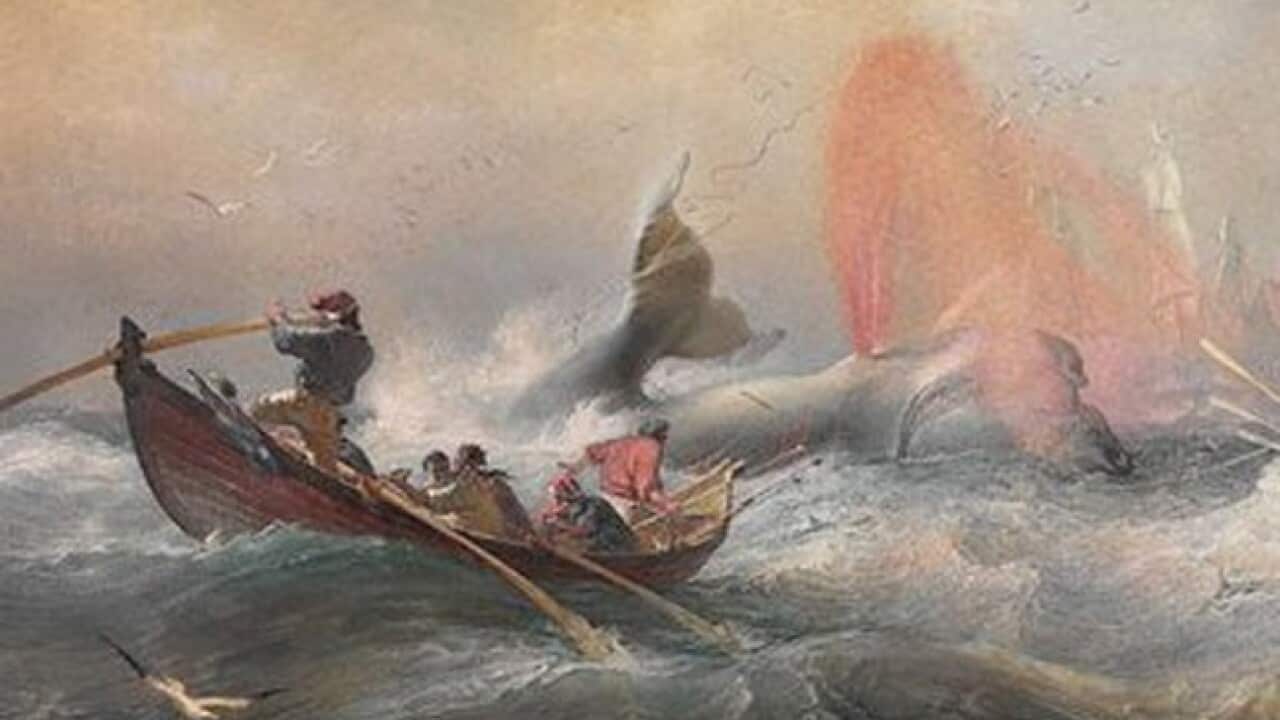 whalers_nsw_130330_agnsw_b_1722842184