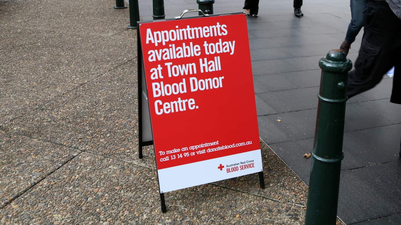 Red Cross blood - AAP-2.jpg