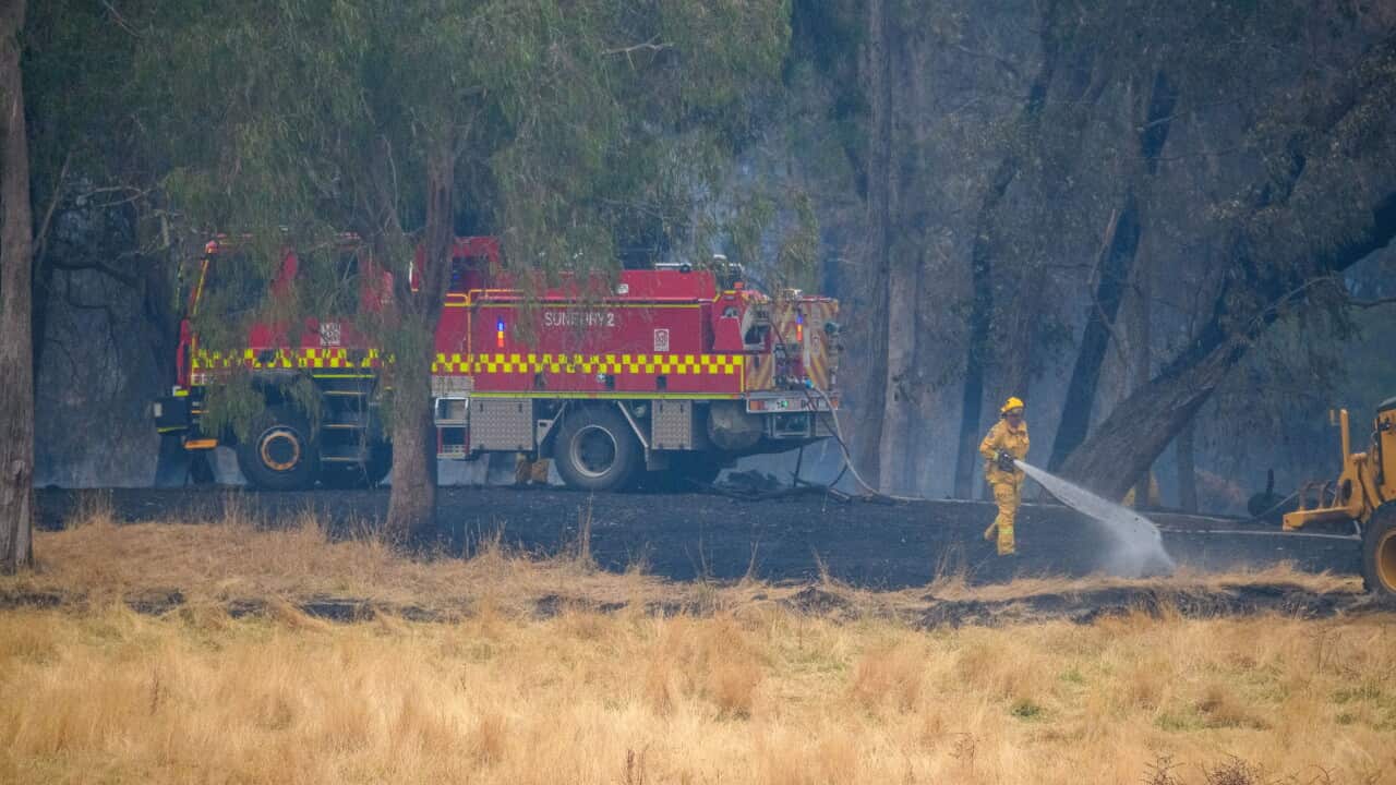 VICTORIA BUSHFIRES