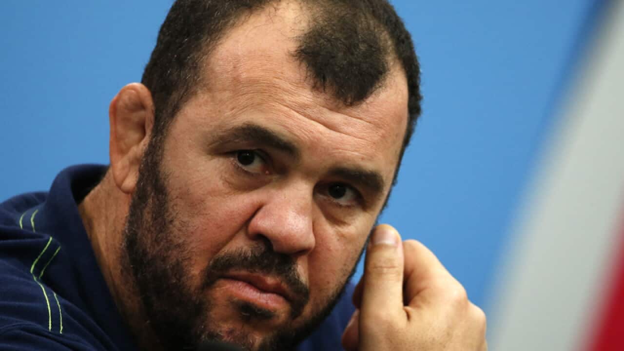 Wallabies coach Michael Cheika