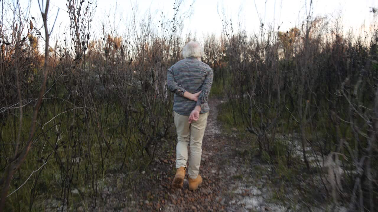 Bruce Pascoe stands by his Aboriginal identity