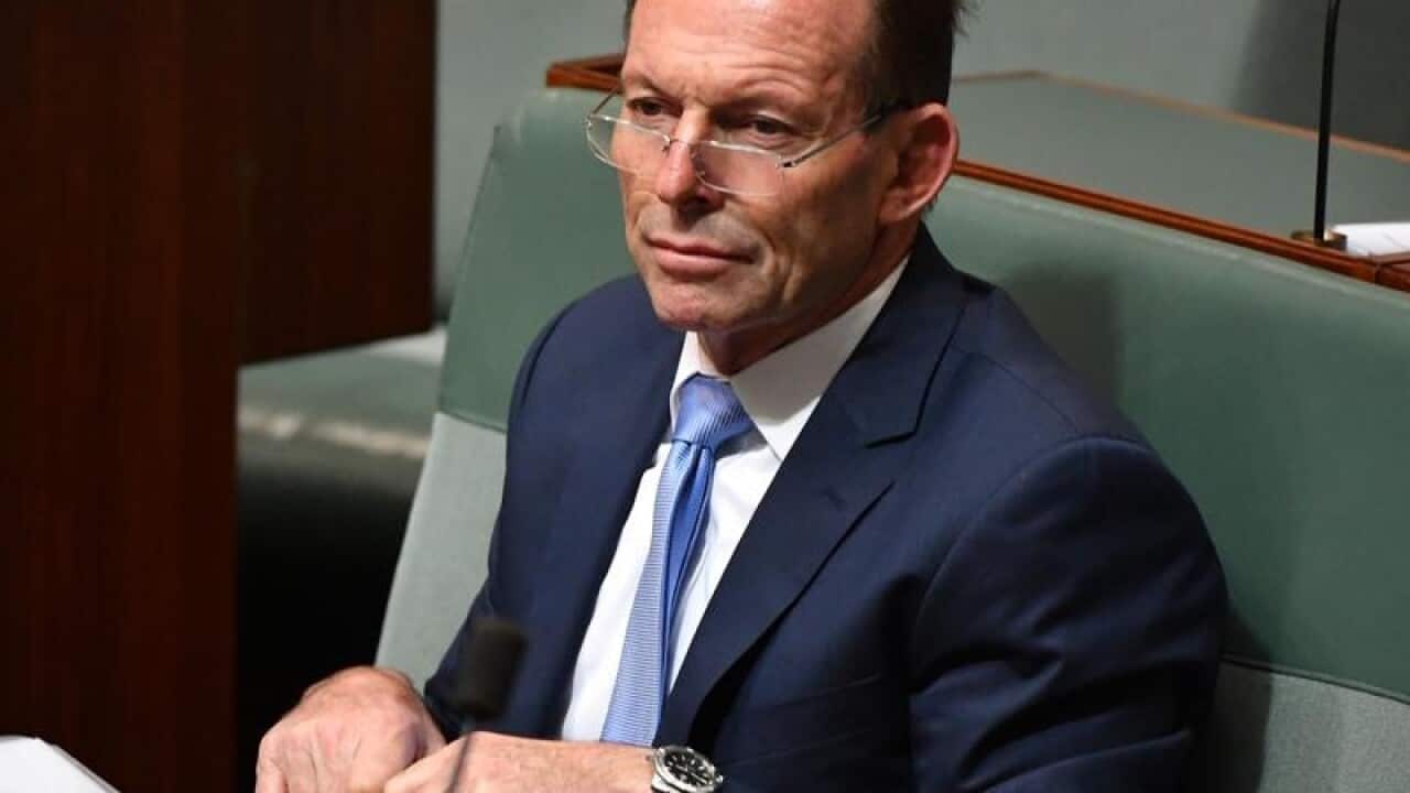 File image of former PM Tony Abbott during Question Time.