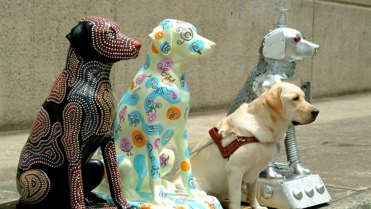 Guide dogs with the art installation