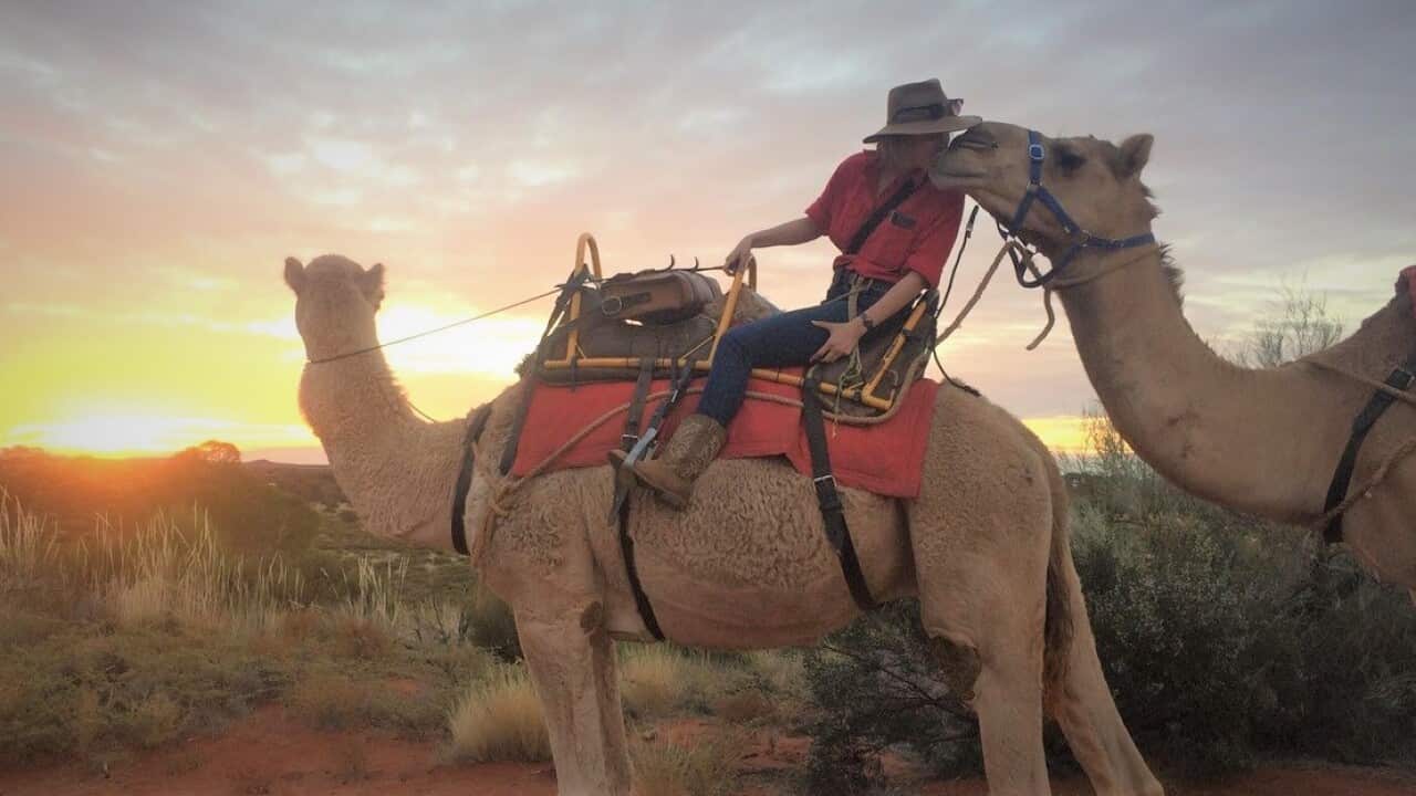 Tourism