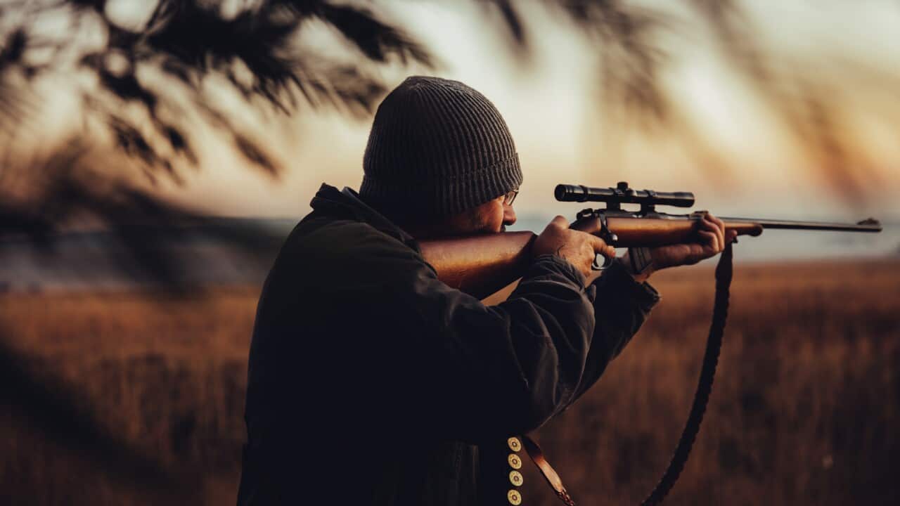 Hunter observing in the wilderness