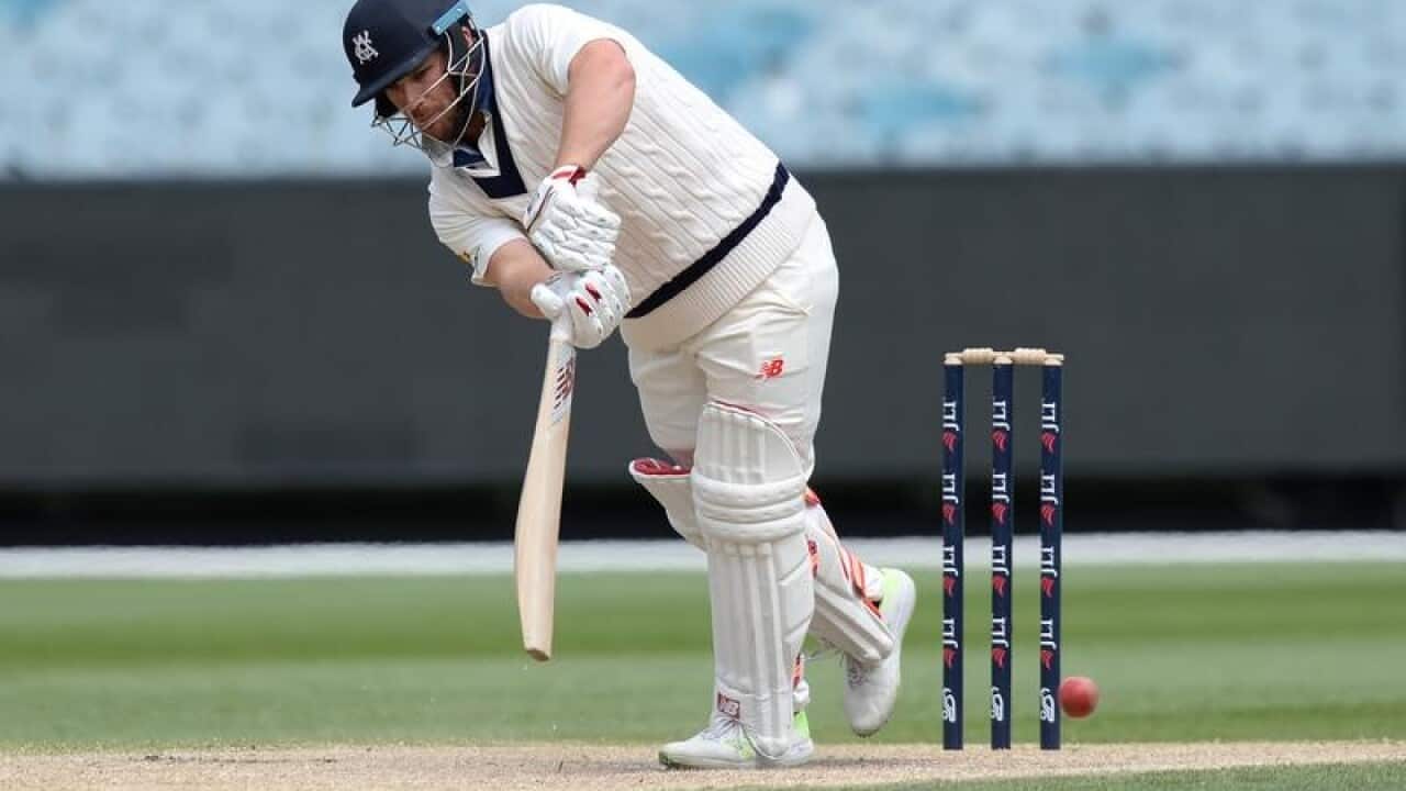 cricket