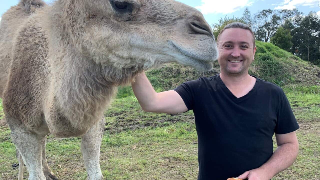 Damian Syrad ran away with the circus