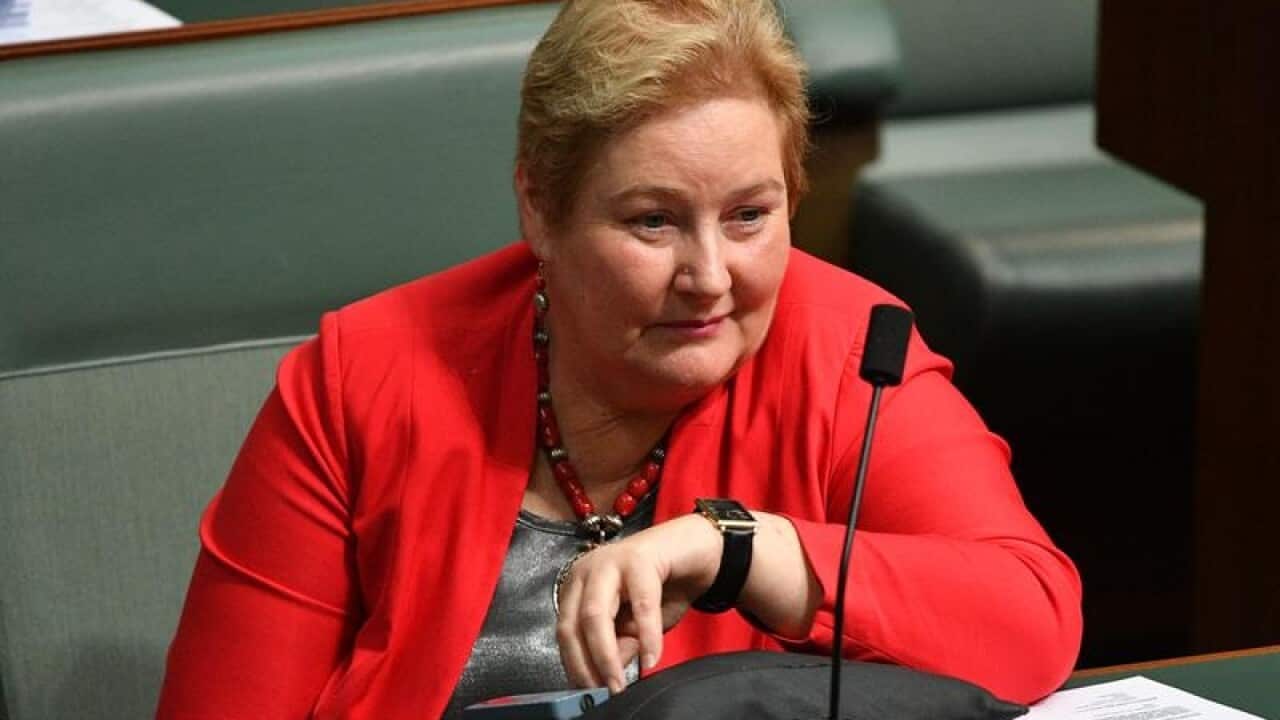 ANN SUDMALIS PARLIAMENT